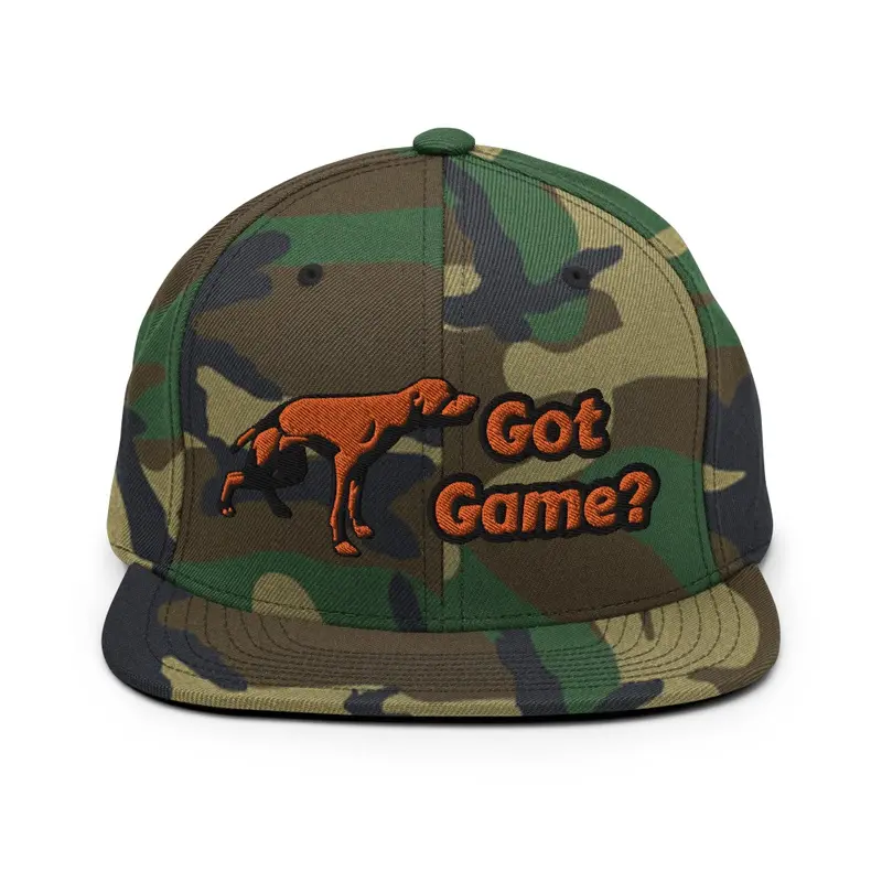 Got Game? Snapback hat